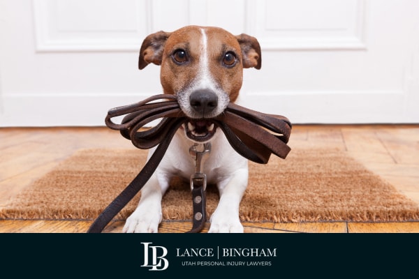 Utah Dog Bite Laws You Should Know